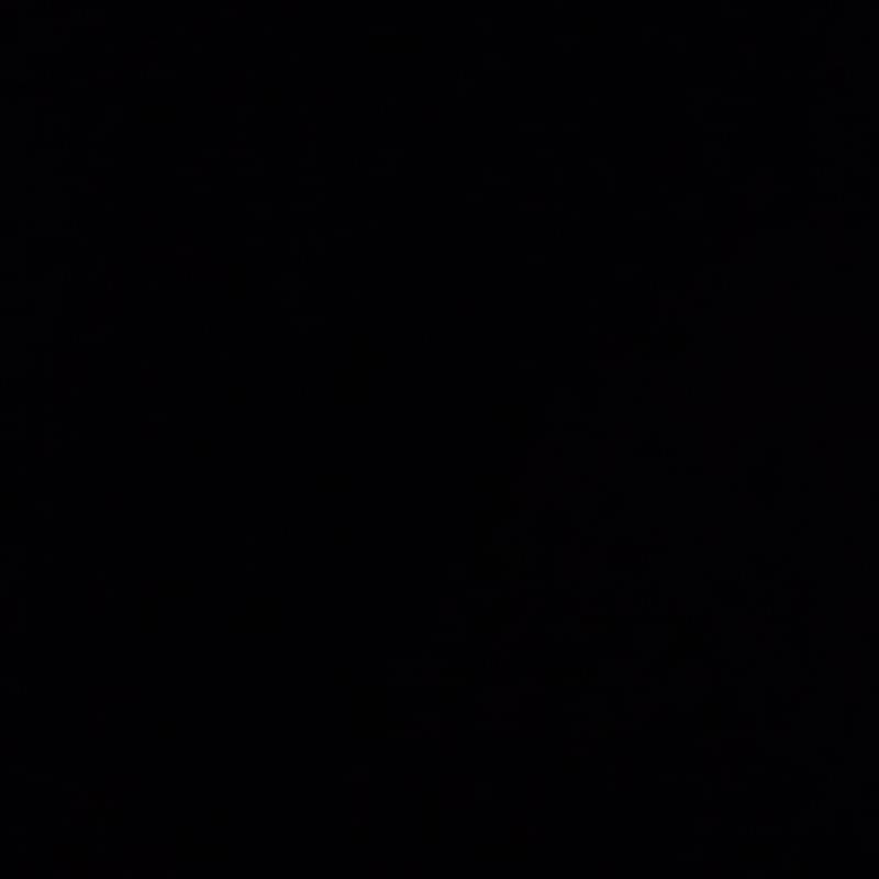 iFunny profile picture for @sarasota