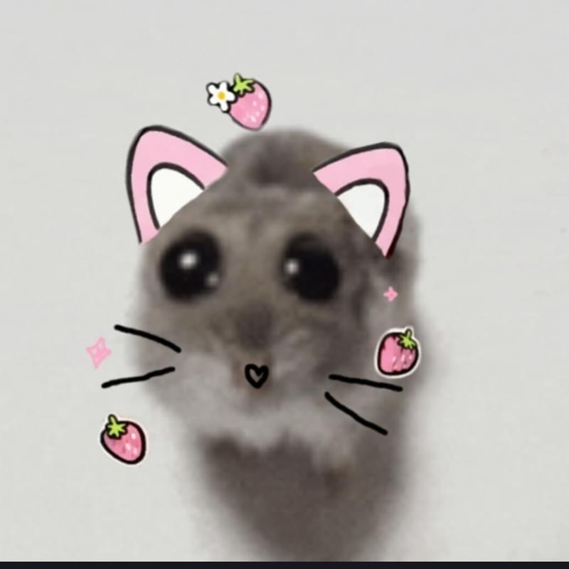 iFunny profile picture for @heck
