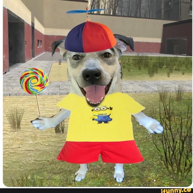 iFunny profile picture for @belkin
