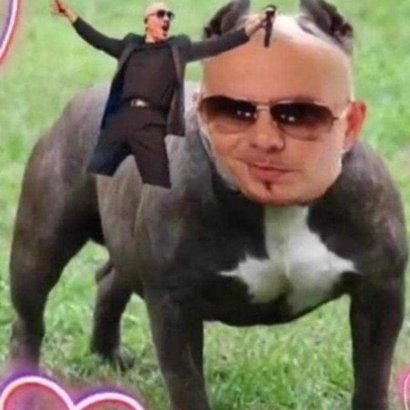 iFunny profile picture for @worldwide