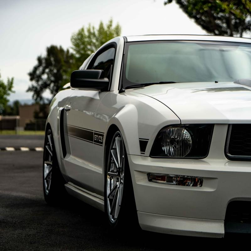iFunny profile picture for @Stang