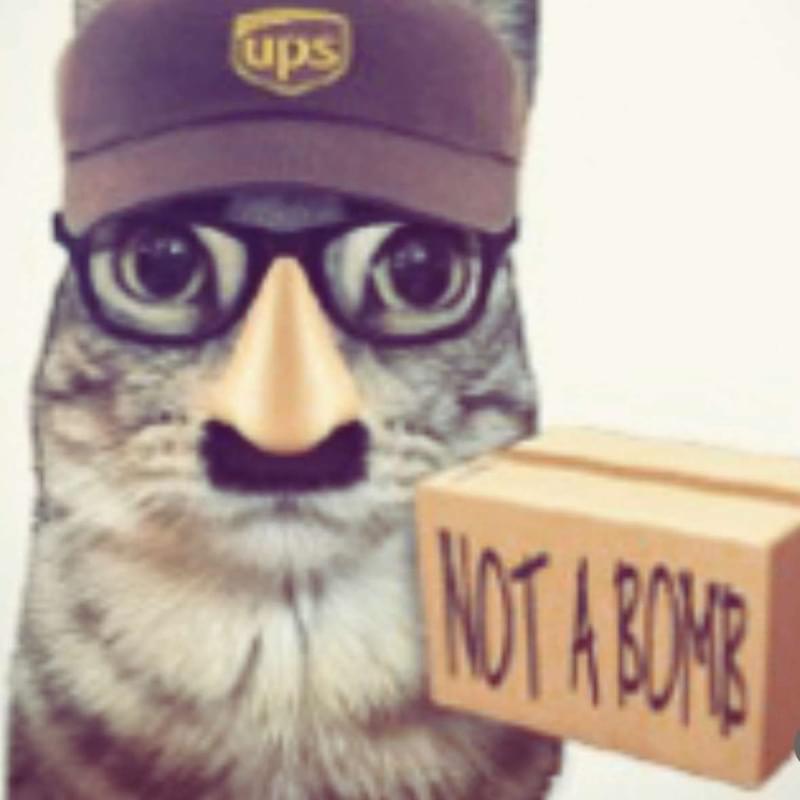 iFunny profile picture for @Dodger