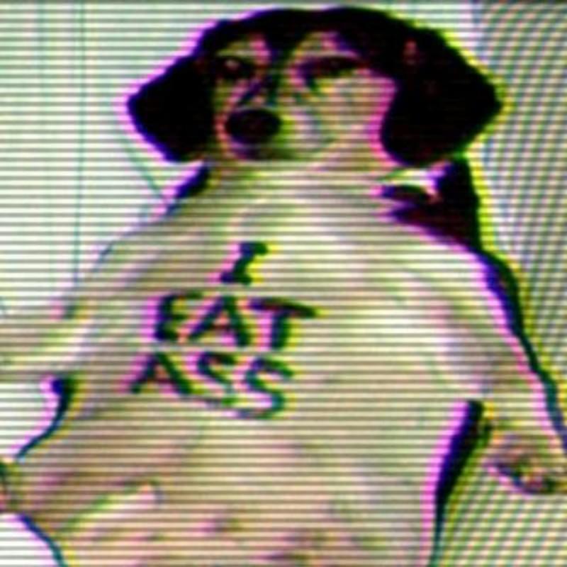 iFunny profile picture for @Fellas