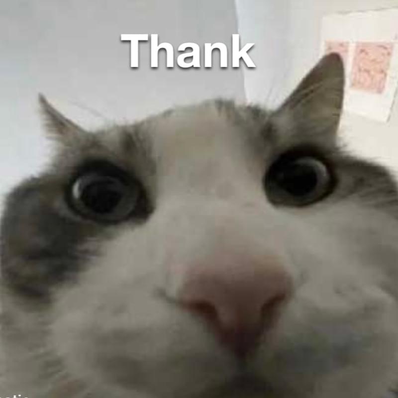 iFunny profile picture for @Thank