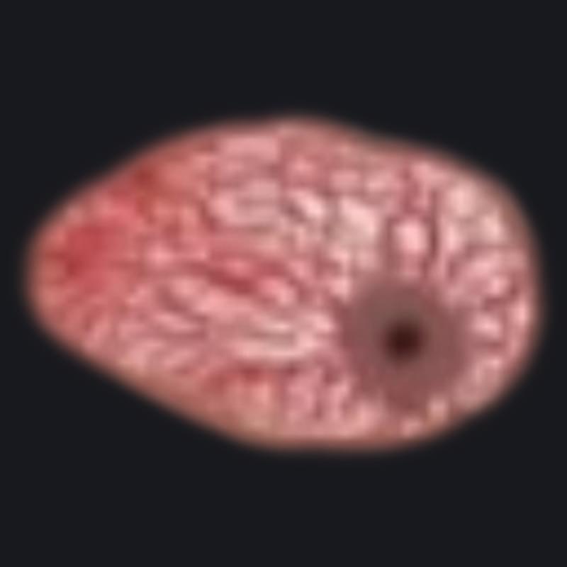 iFunny profile picture for @Aluminum