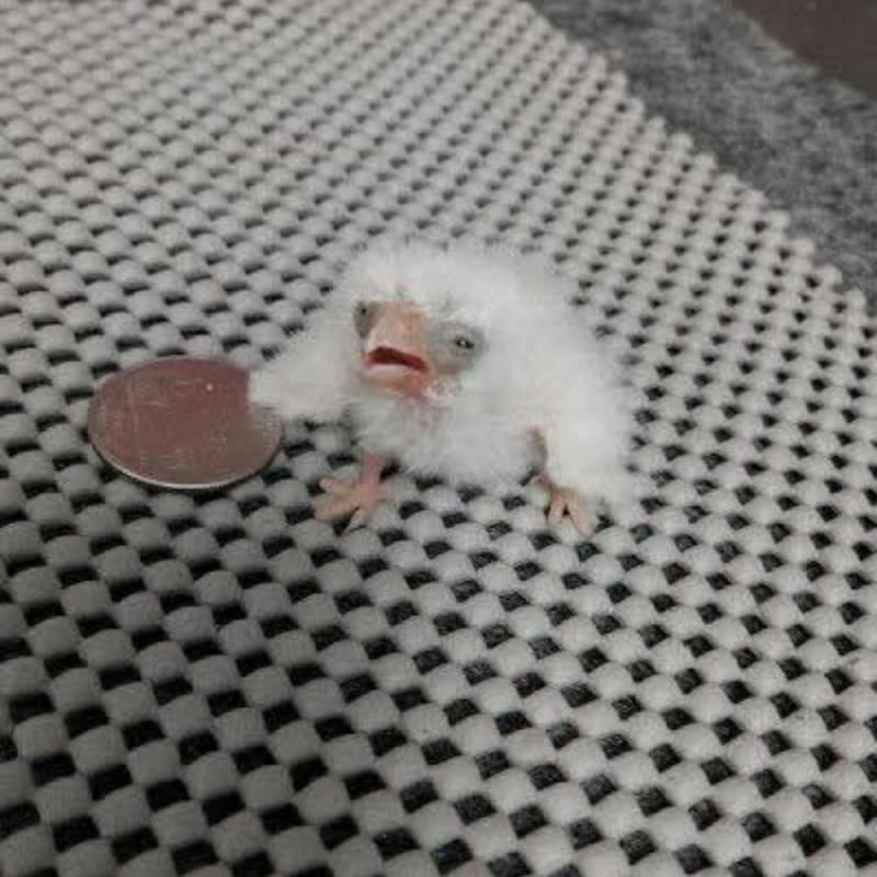 iFunny profile picture for @Unavailable