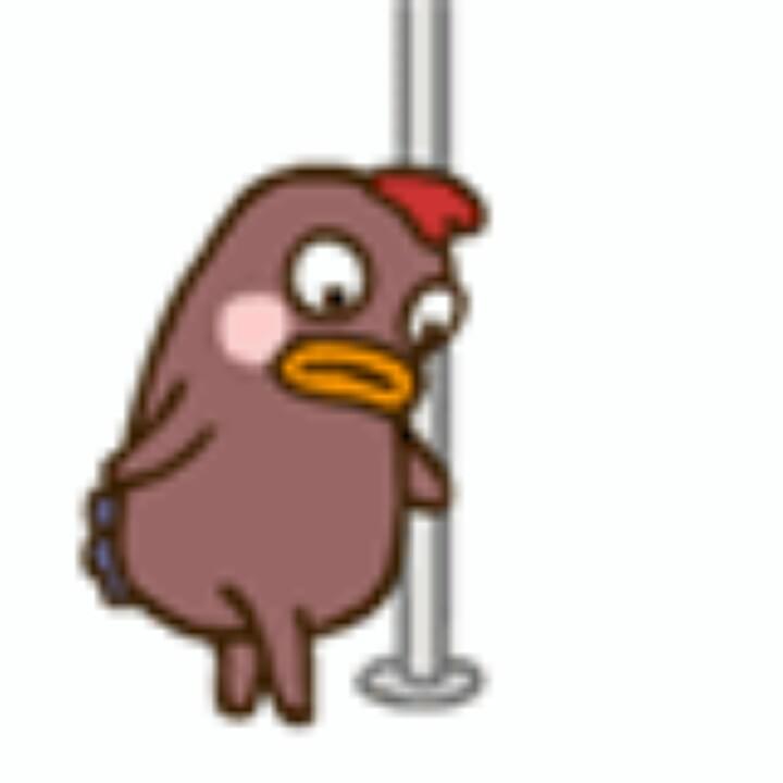 Stripper Chicken Gif