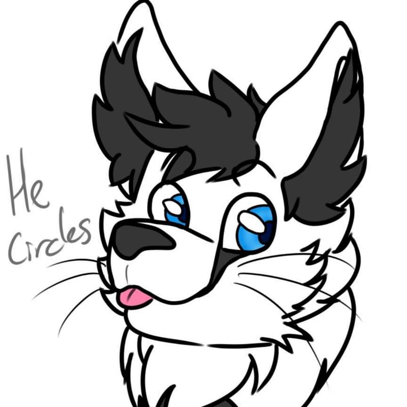 iFunny profile picture for @circles