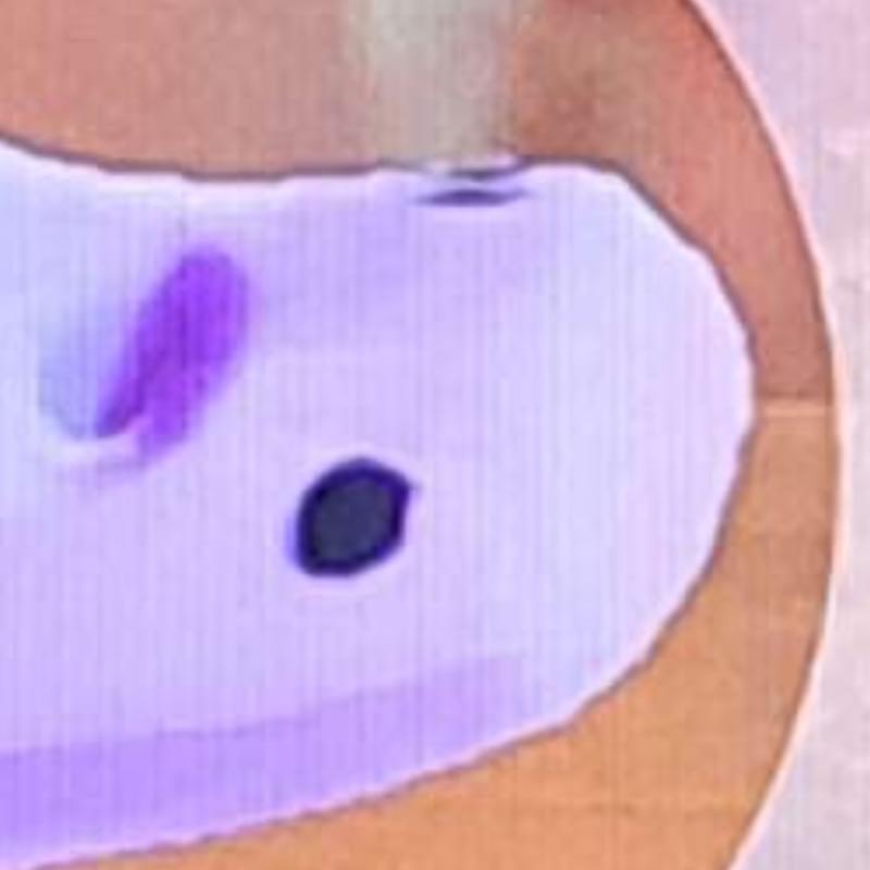 iFunny profile picture for @ASPEN