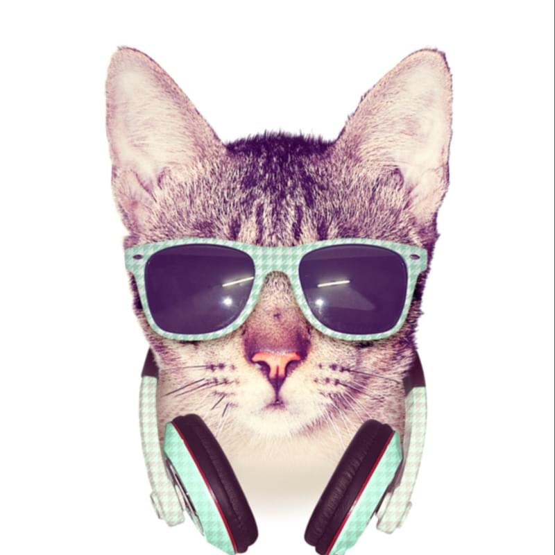 iFunny profile picture for @Wins