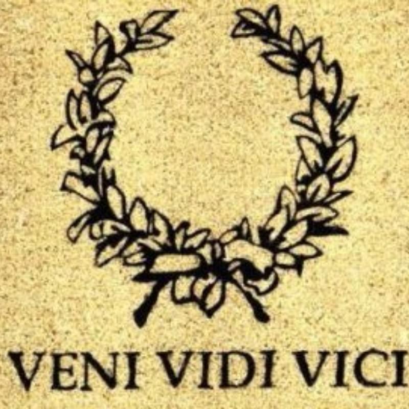 Veni vidi vici картинки