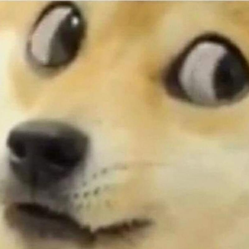 iFunny profile picture for @boring