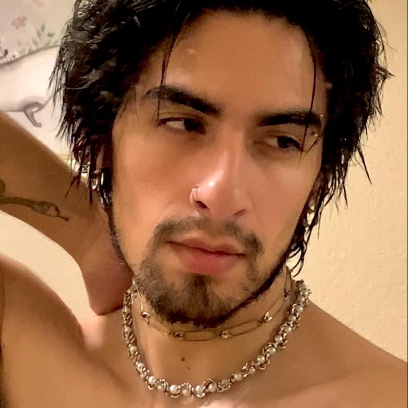 iFunny profile picture for @Bitches