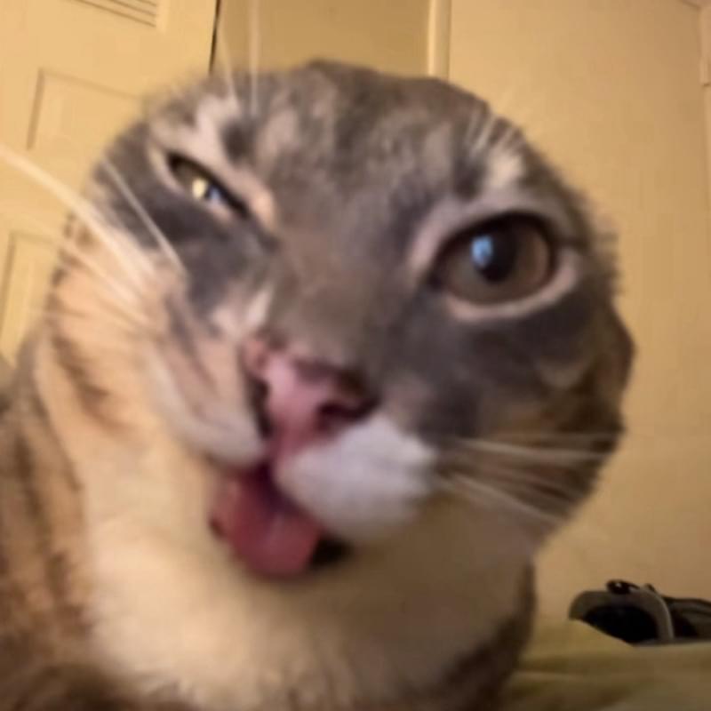 iFunny profile picture for @Stop