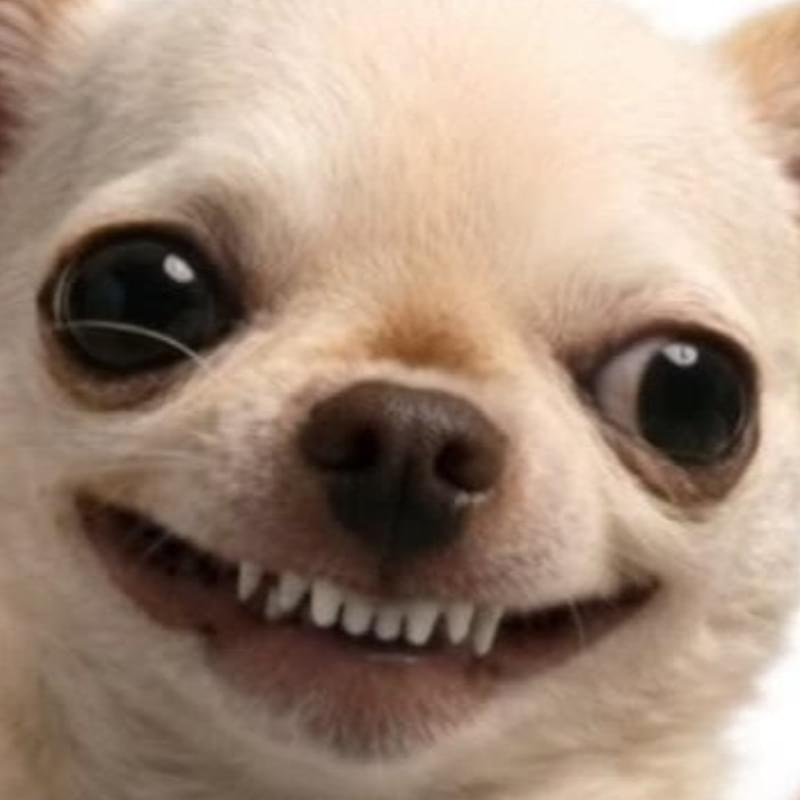 iFunny profile picture for @Jeff
