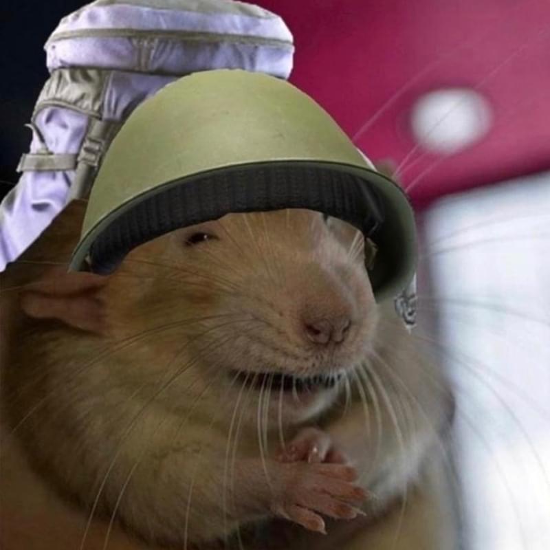 iFunny profile picture for @Theoretical