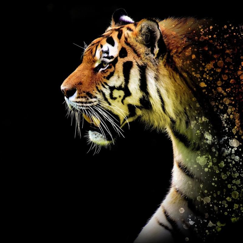 iFunny profile picture for @Lair