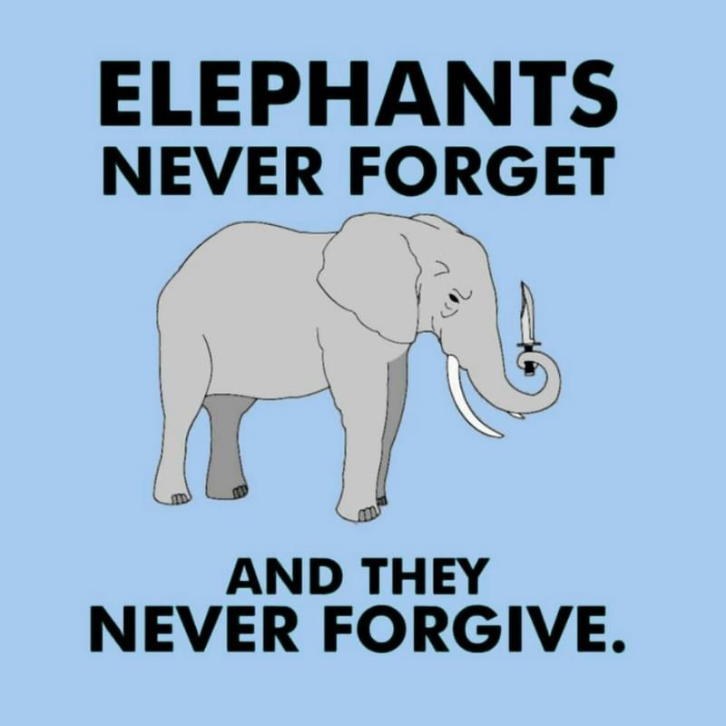 Наш слон. Elephants never forget. Never forget never forgive слоны Мем. An Elephant never forgets идиома. The Elephant never forgets el Chavo.