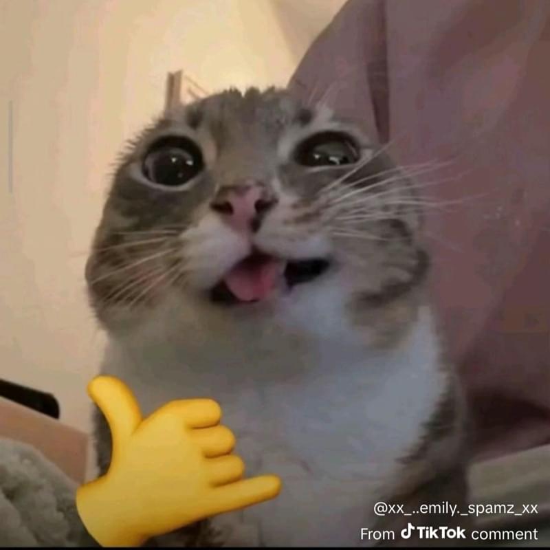 iFunny profile picture for @whatever
