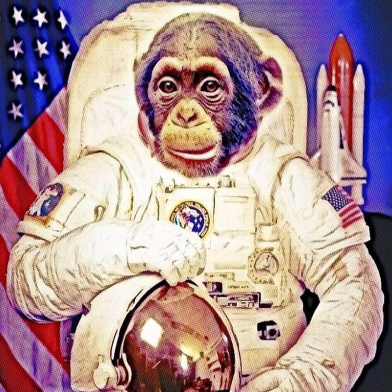 Первая обезьяна полетевшая в космос. Мартышка Эйбл космонавт. Шимпанзе Хэм космонавт.