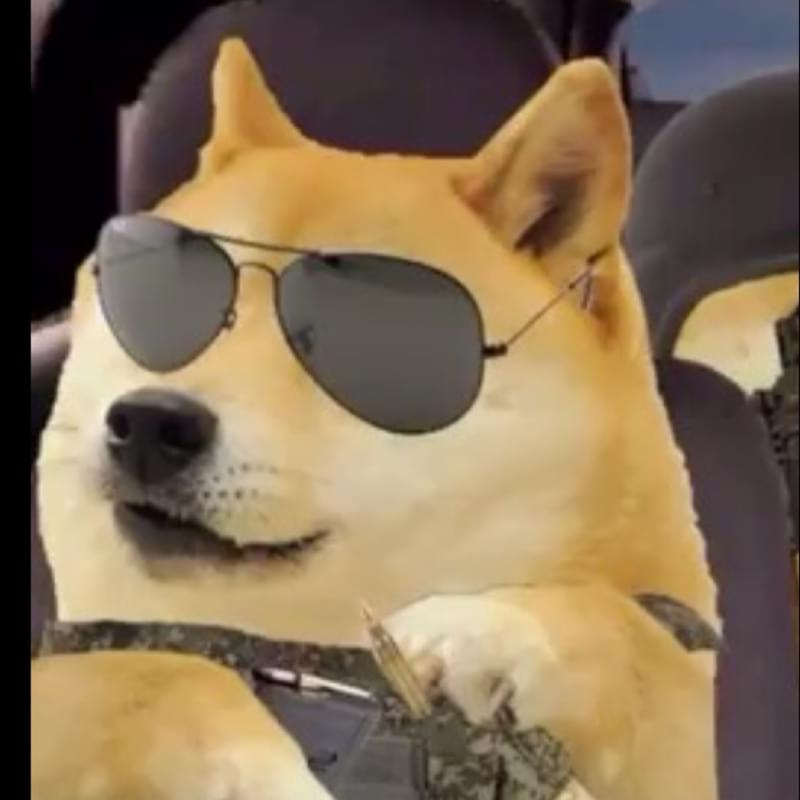 iFunny profile picture for @Ammo