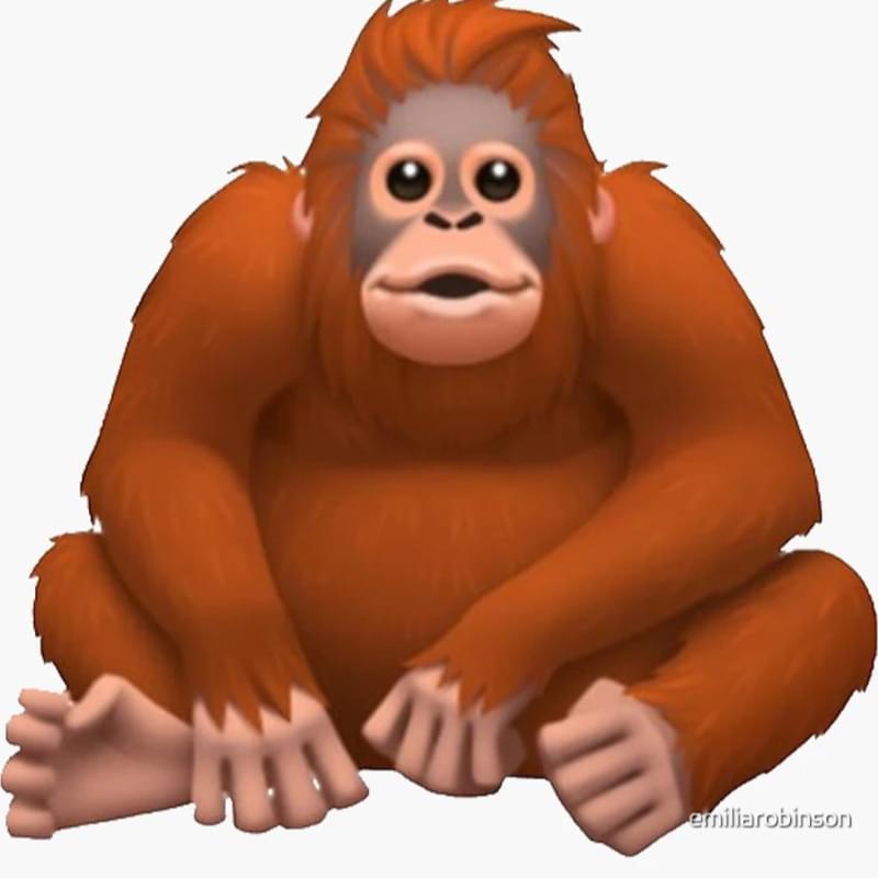 iFunny profile picture for @primate