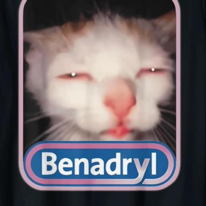 iFunny profile picture for @cheesecake