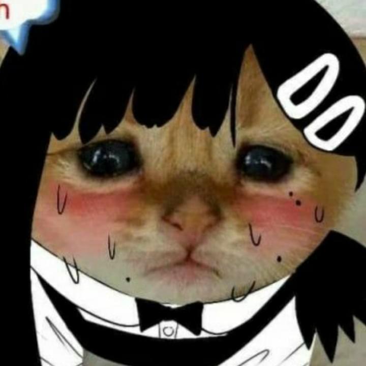 iFunny profile picture for @Queen