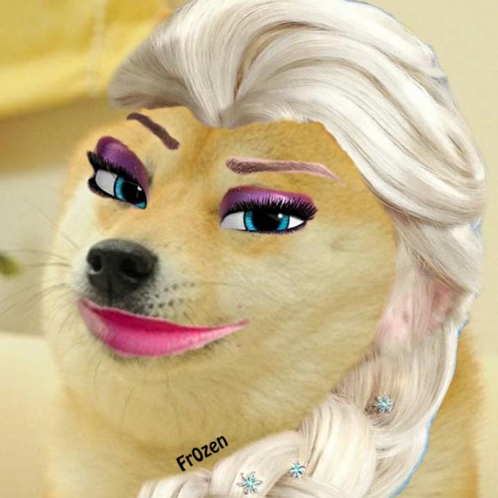 iFunny profile picture for @Frozen