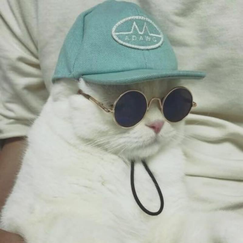 iFunny profile picture for @Quarry
