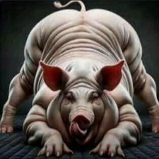 iFunny profile picture for @Faber
