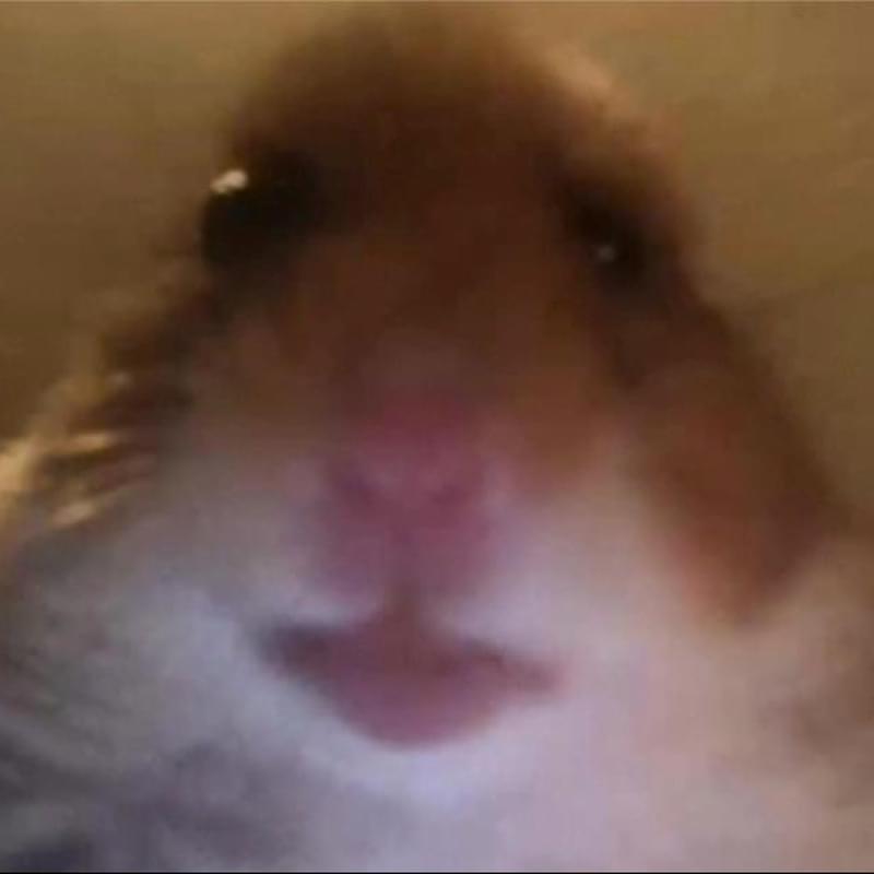 iFunny profile picture for @FREE