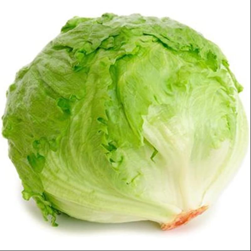 iFunny profile picture for @Lettuce