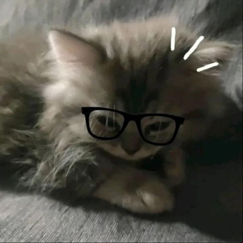 iFunny profile picture for @Calamity