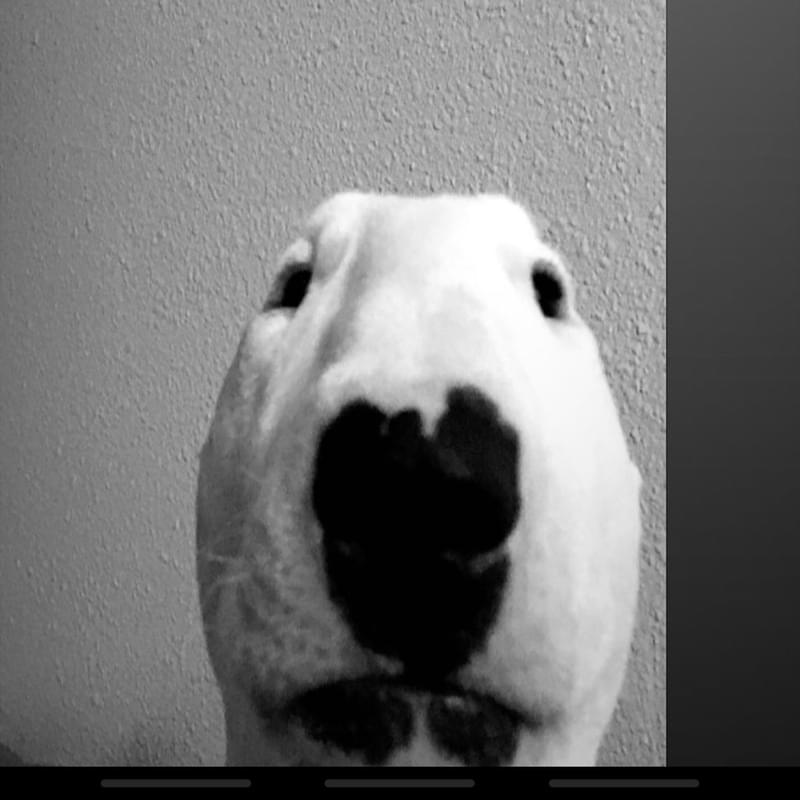 iFunny profile picture for @sweatshirts