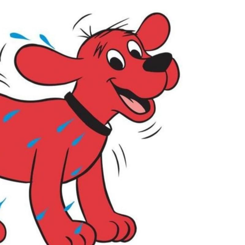 iFunny profile picture for @Clifford