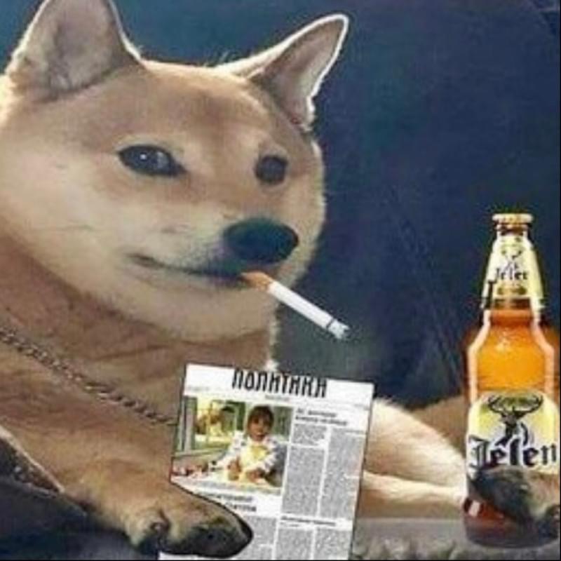 iFunny profile picture for @Carousel