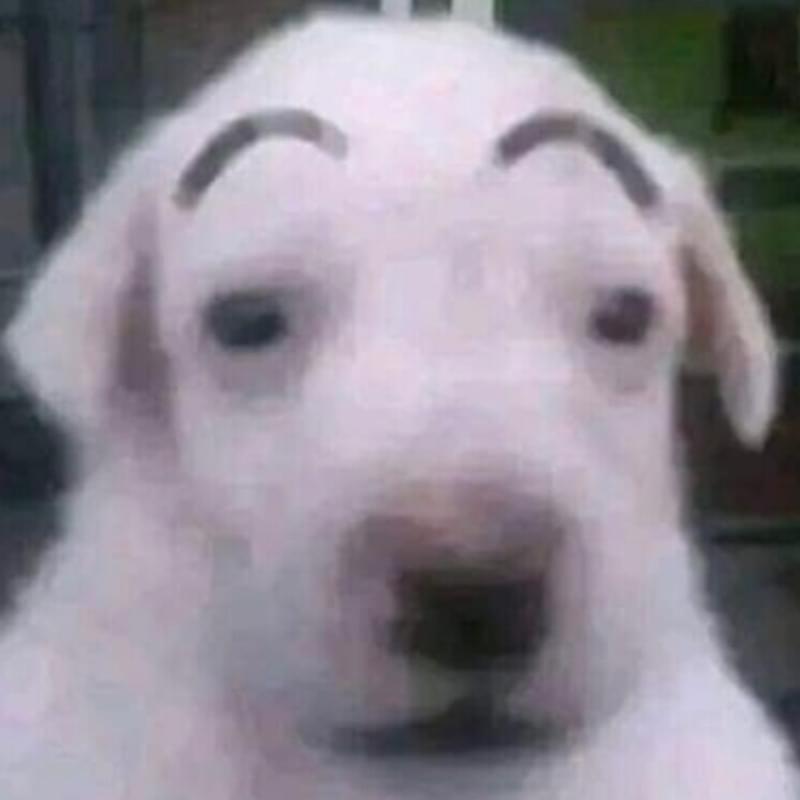 iFunny profile picture for @Internet