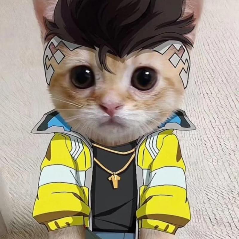 iFunny profile picture for @Blitz
