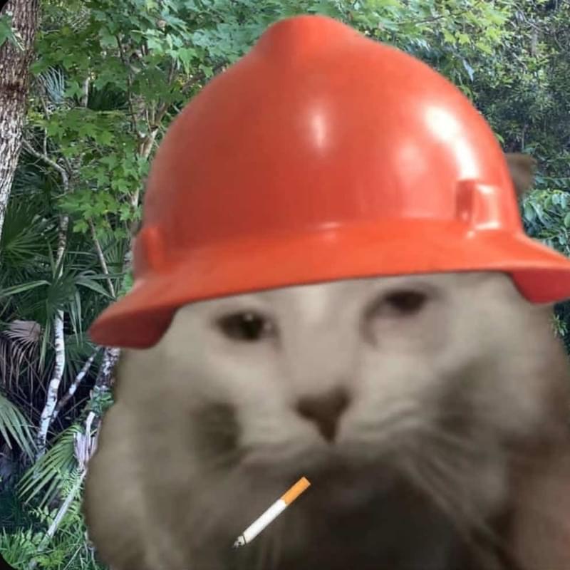 iFunny profile picture for @Shivering