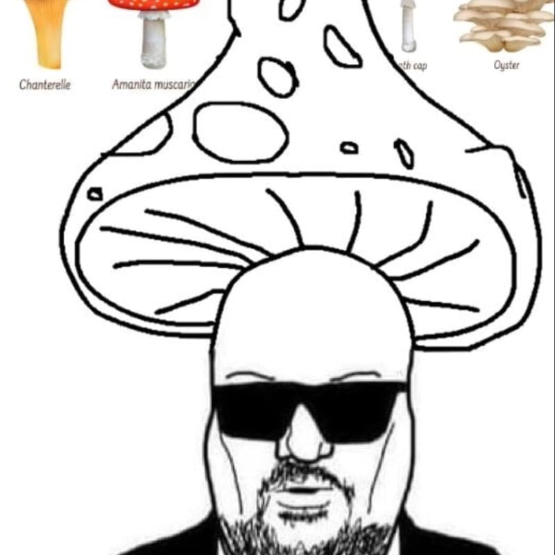 iFunny profile picture for @across