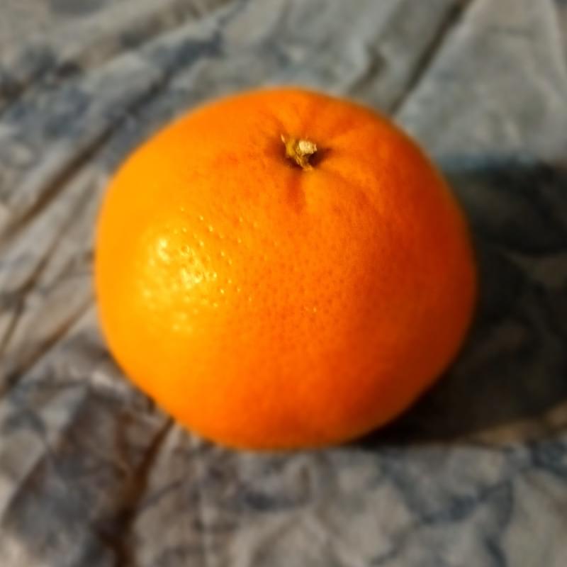 iFunny profile picture for @Orange