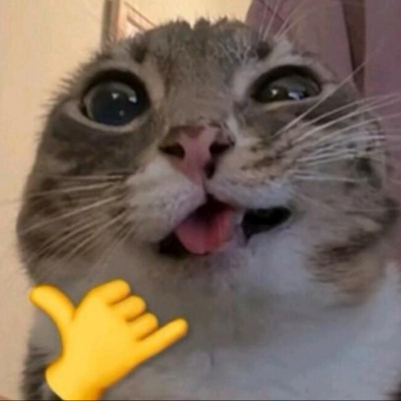 iFunny profile picture for @Leap