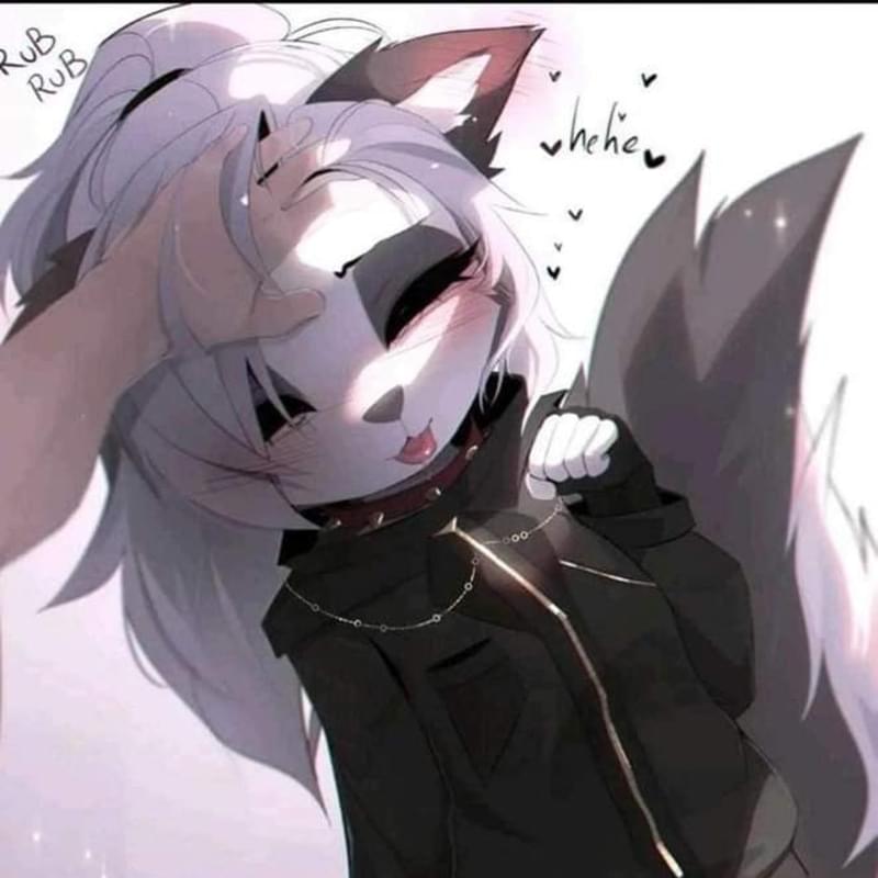 iFunny profile picture for @Undesirable