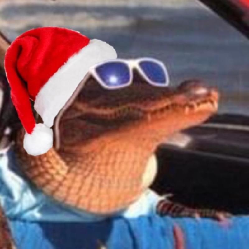iFunny profile picture for @Alligator
