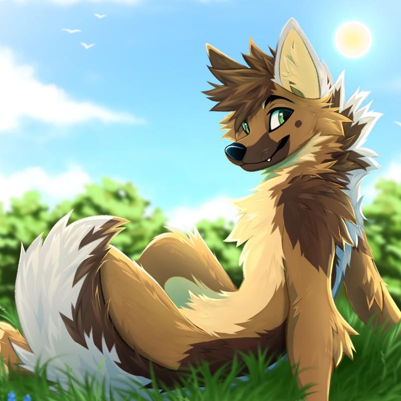 iFunny profile picture for @Primed