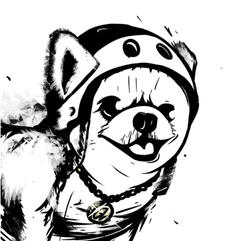 iFunny profile picture for @Gizmo