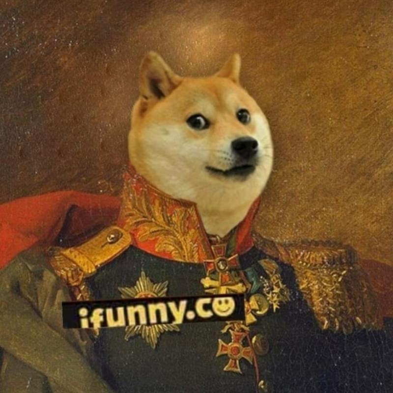 Дож. Doge генерал. Доги Мем. Doge арт. Доги военный.