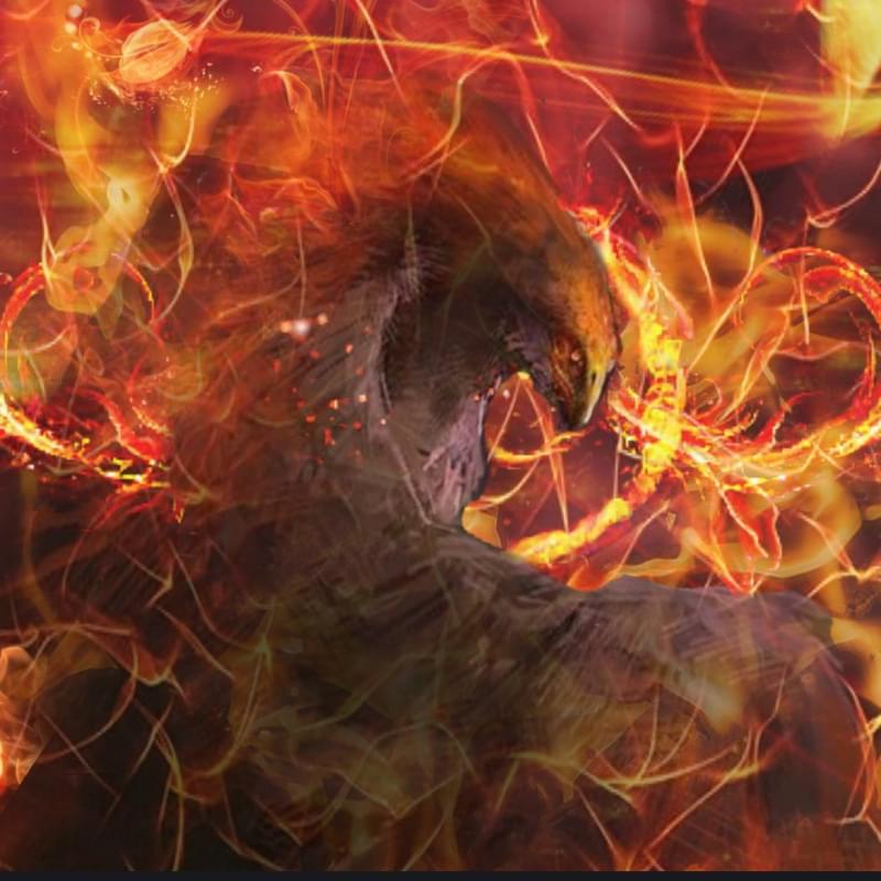 iFunny profile picture for @Phoenix