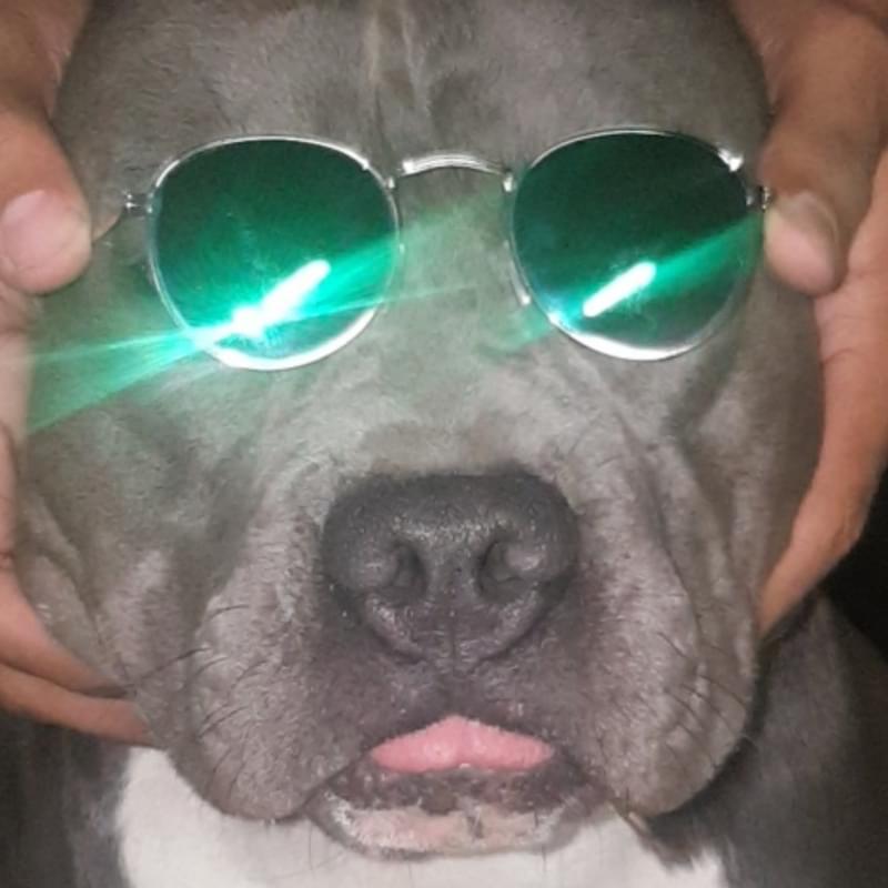 iFunny profile picture for @Stuck